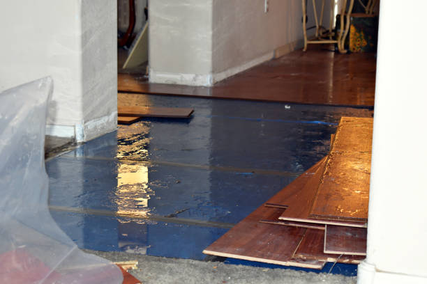 Professional Burst Pipe Cleanup technician working in Brookton, ME